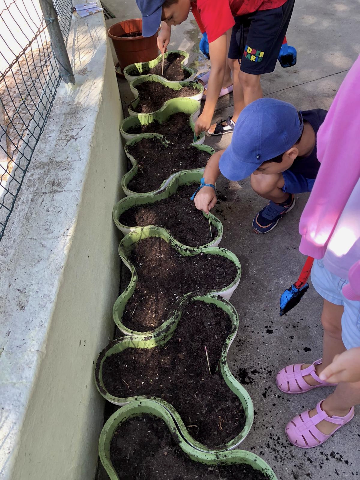 Projetos de Jardinagem